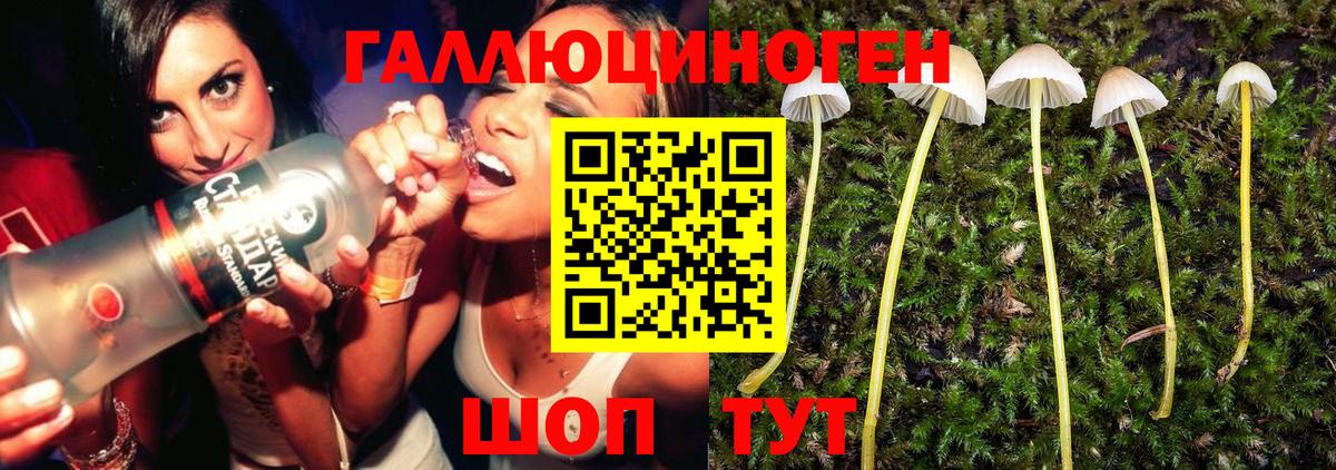 Псилоцибиновые грибы GOLDEN TEACHER Красноперекопск