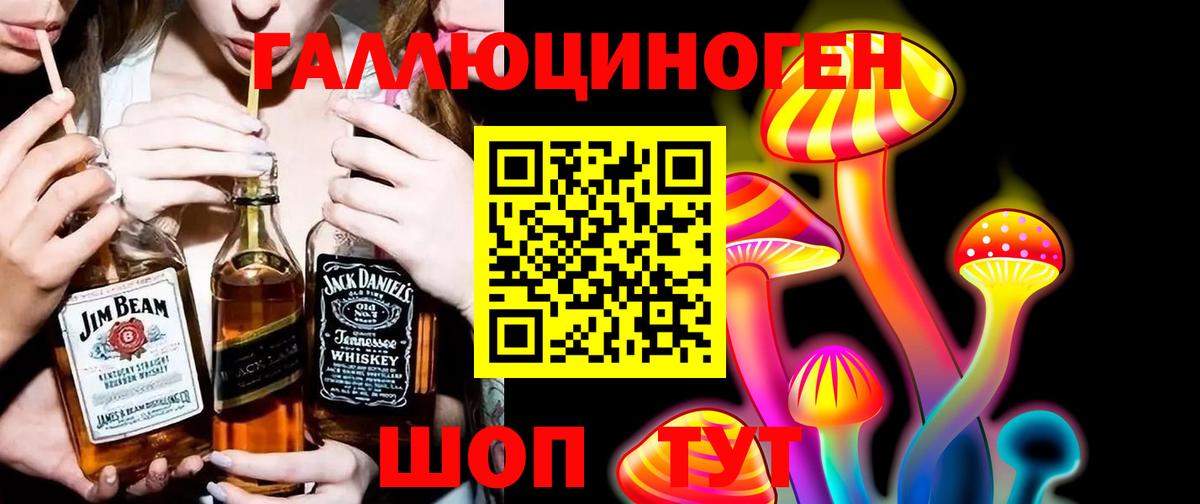 Красноперекопск  где найти наркотики  Вход с VPN  Псилоцибиновые грибы мицелий 